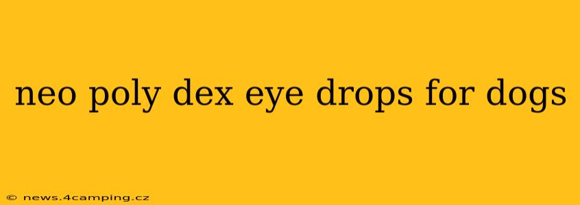 neo poly dex eye drops for dogs