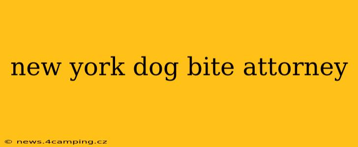 new york dog bite attorney