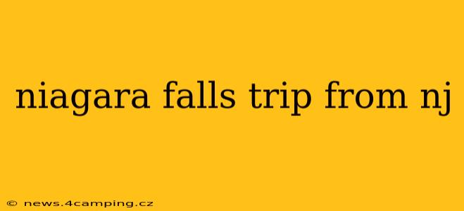 niagara falls trip from nj