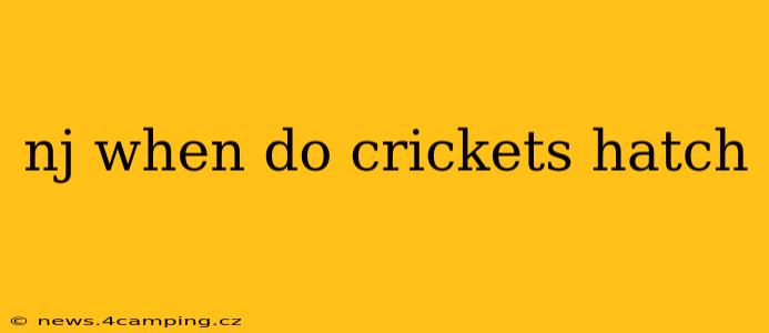 nj when do crickets hatch