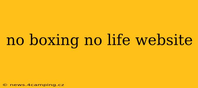 no boxing no life website