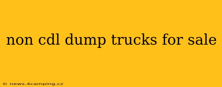 non cdl dump trucks for sale