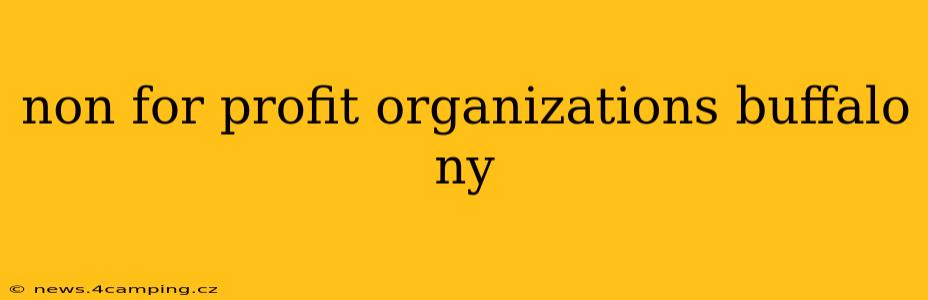 non for profit organizations buffalo ny