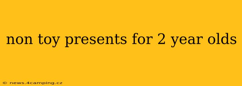non toy presents for 2 year olds