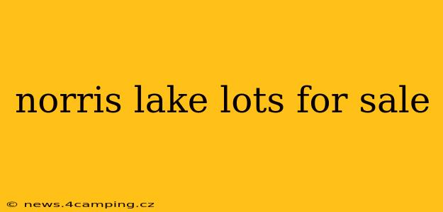norris lake lots for sale