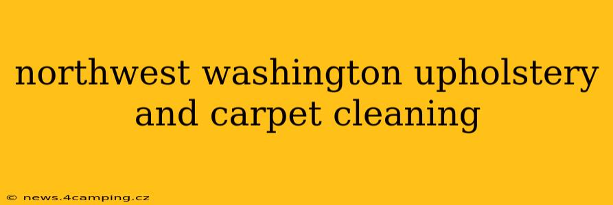 northwest washington upholstery and carpet cleaning