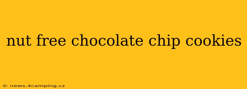 nut free chocolate chip cookies