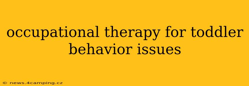 occupational therapy for toddler behavior issues