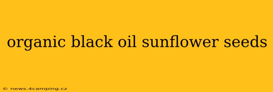 organic black oil sunflower seeds