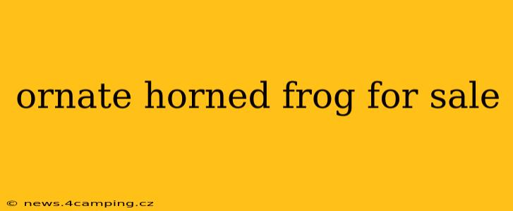 ornate horned frog for sale