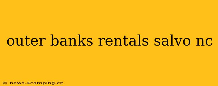 outer banks rentals salvo nc