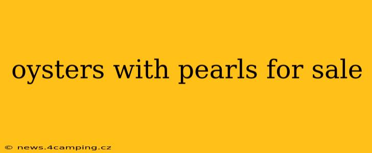 oysters with pearls for sale