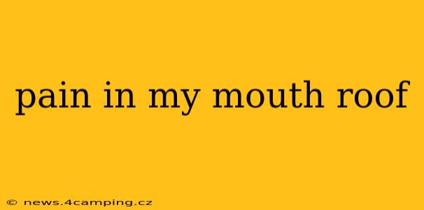 pain in my mouth roof