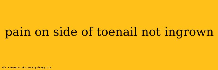 pain on side of toenail not ingrown