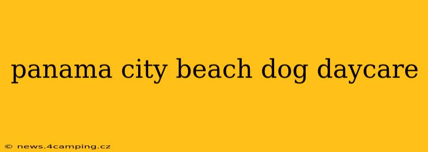 panama city beach dog daycare