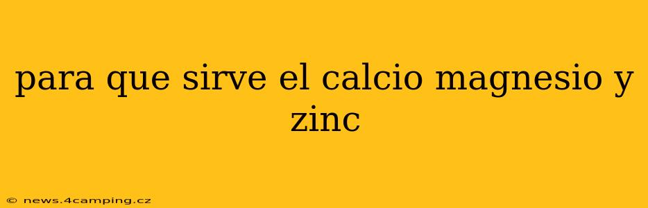 para que sirve el calcio magnesio y zinc