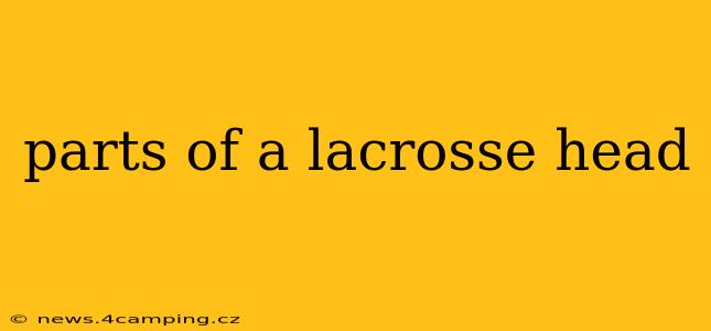 parts of a lacrosse head