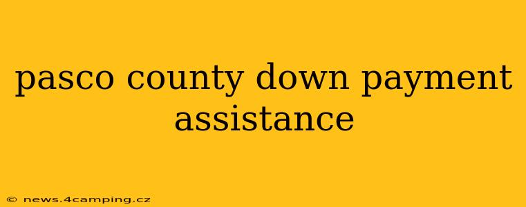 pasco county down payment assistance