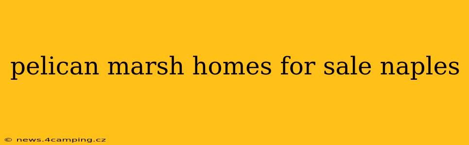 pelican marsh homes for sale naples