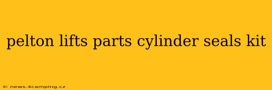 pelton lifts parts cylinder seals kit