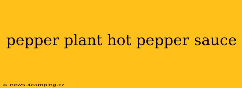 pepper plant hot pepper sauce