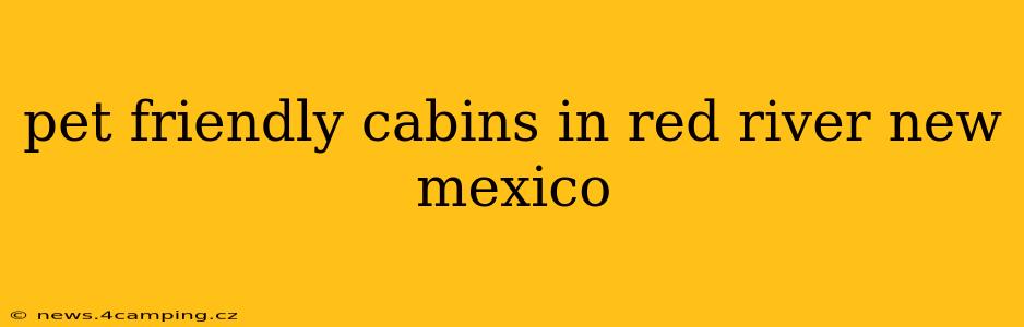 pet friendly cabins in red river new mexico