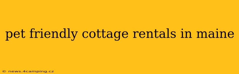 pet friendly cottage rentals in maine