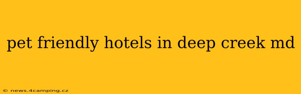 pet friendly hotels in deep creek md