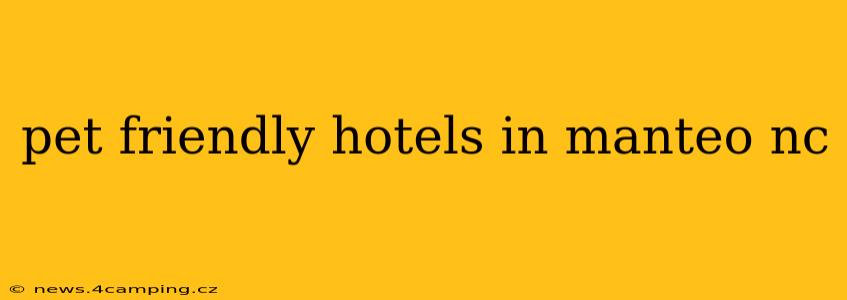 pet friendly hotels in manteo nc