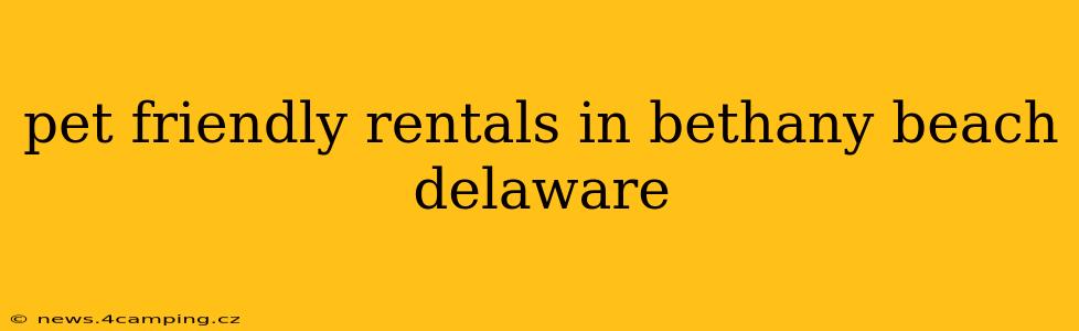 pet friendly rentals in bethany beach delaware