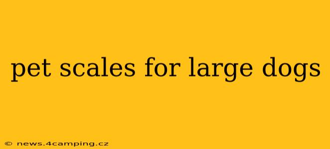 pet scales for large dogs