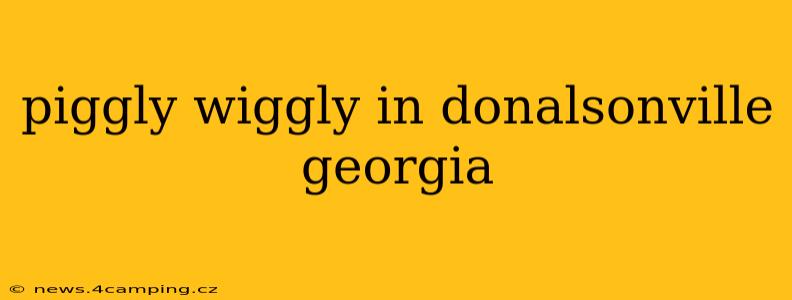 piggly wiggly in donalsonville georgia