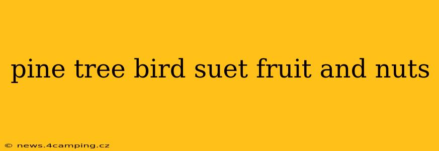 pine tree bird suet fruit and nuts