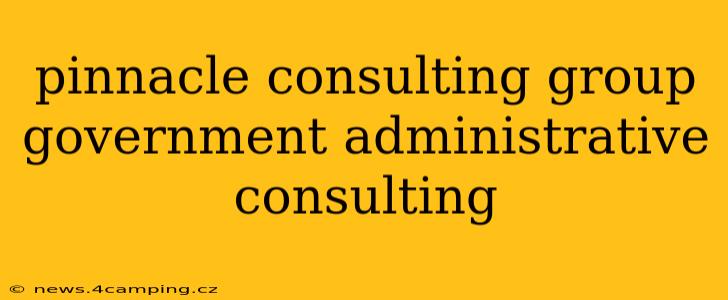 pinnacle consulting group government administrative consulting