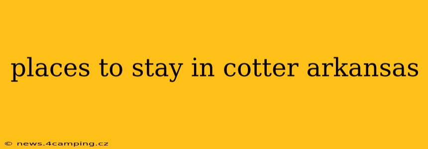 places to stay in cotter arkansas