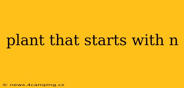 plant that starts with n