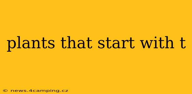 plants that start with t