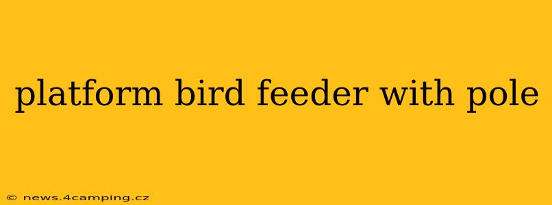 platform bird feeder with pole
