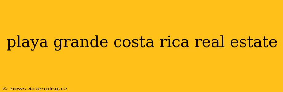 playa grande costa rica real estate