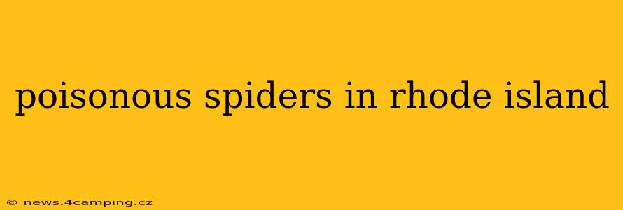 poisonous spiders in rhode island