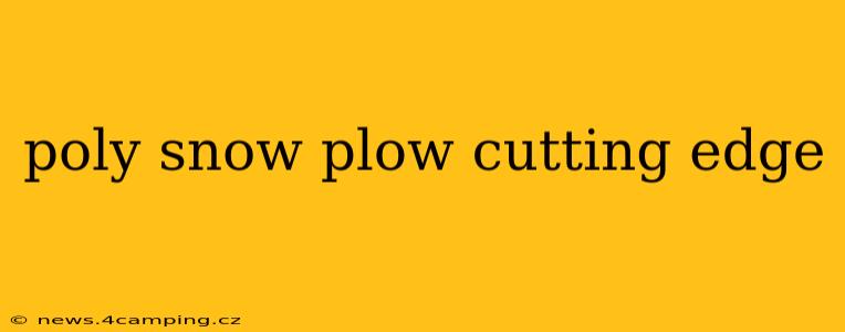 poly snow plow cutting edge