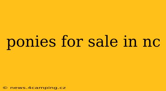 ponies for sale in nc
