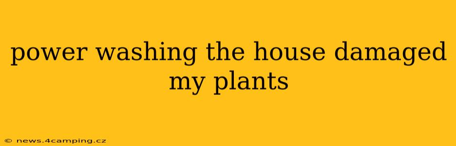 power washing the house damaged my plants