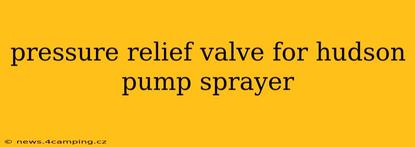 pressure relief valve for hudson pump sprayer