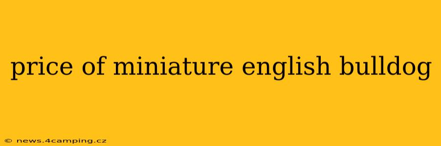 price of miniature english bulldog