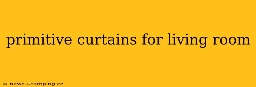 primitive curtains for living room