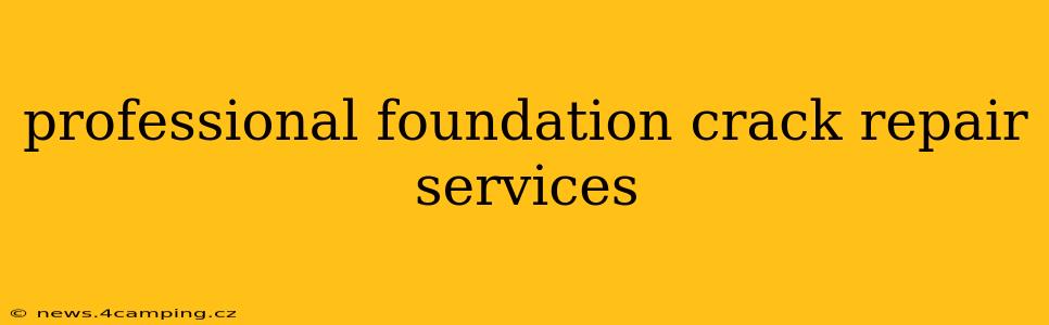 professional foundation crack repair services
