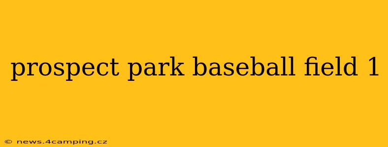prospect park baseball field 1