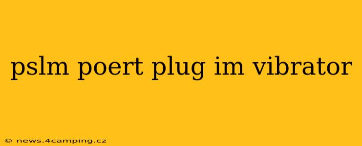 pslm poert plug im vibrator