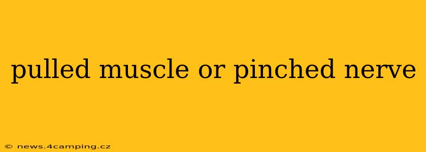 pulled muscle or pinched nerve